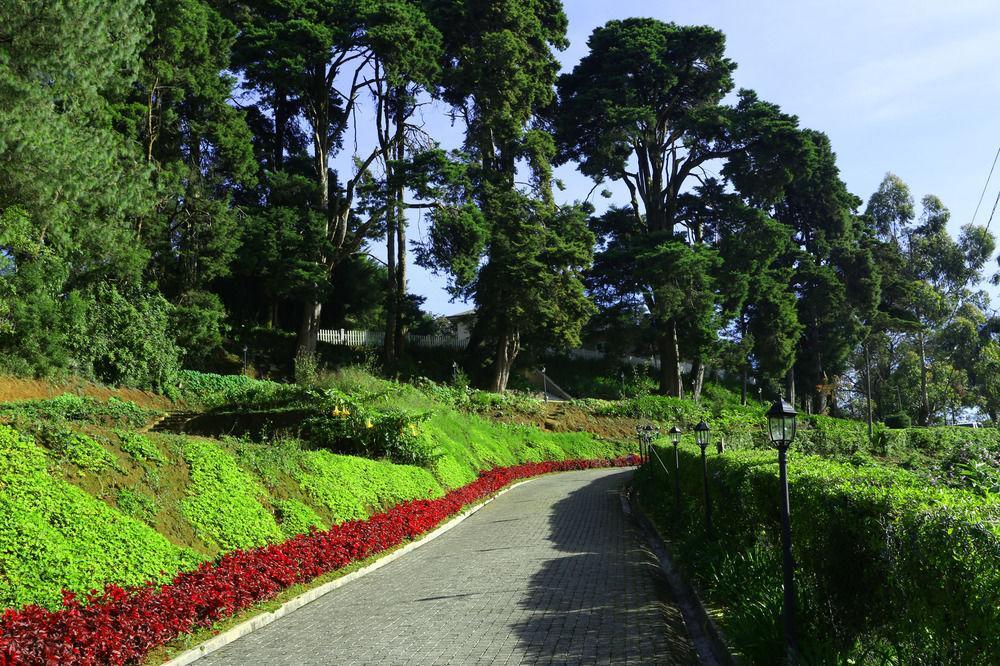 The Firs Nuwara Eliya Exterior foto