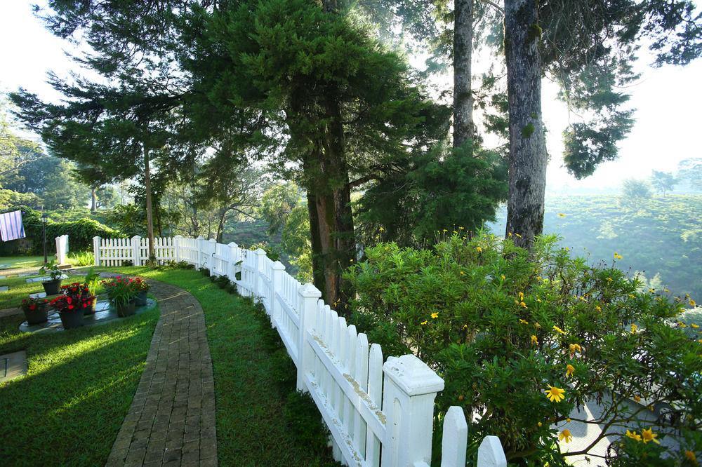 The Firs Nuwara Eliya Exterior foto