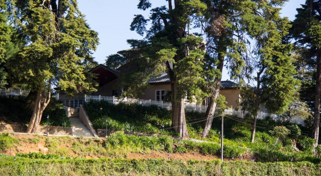 The Firs Nuwara Eliya Exterior foto